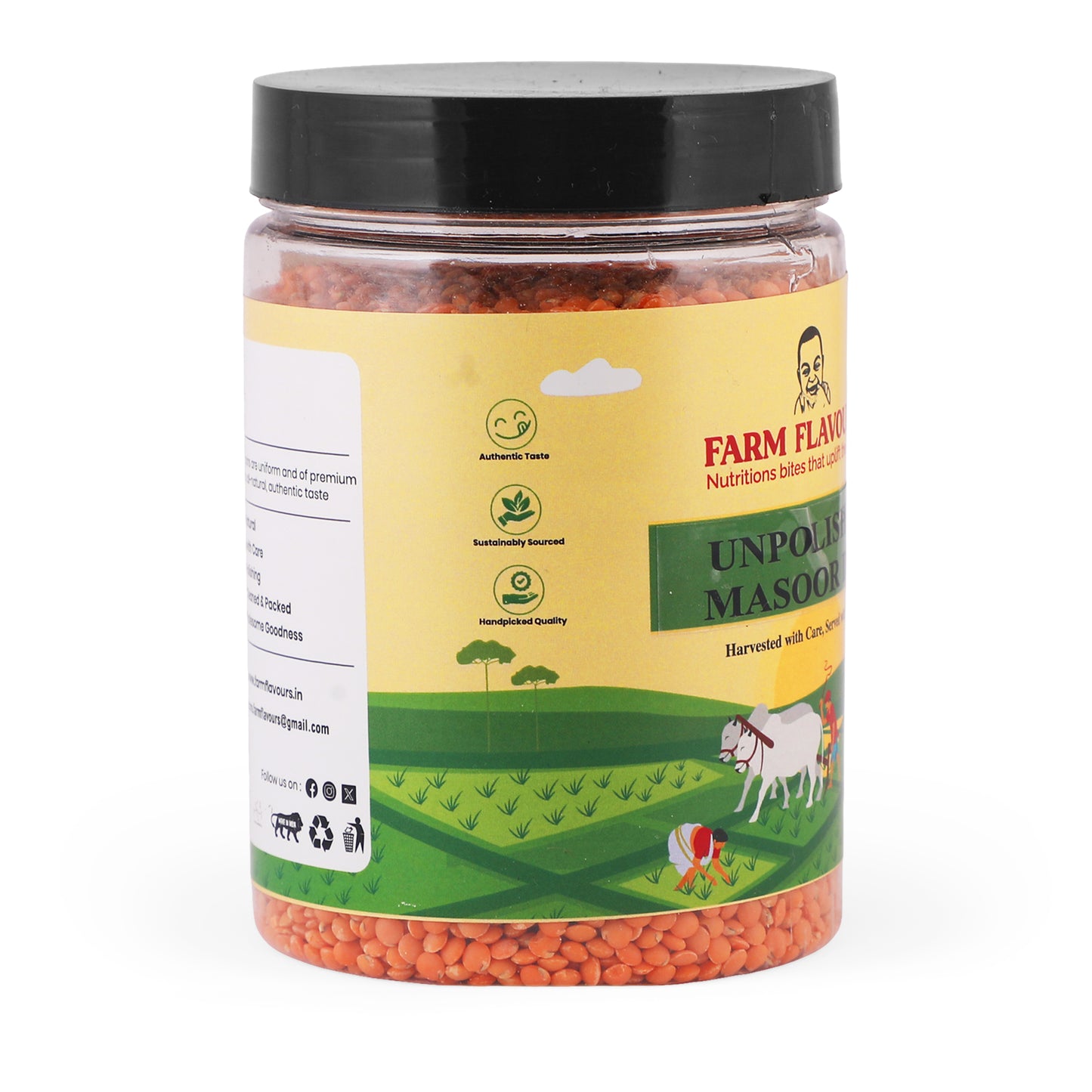 MASOOR DAL